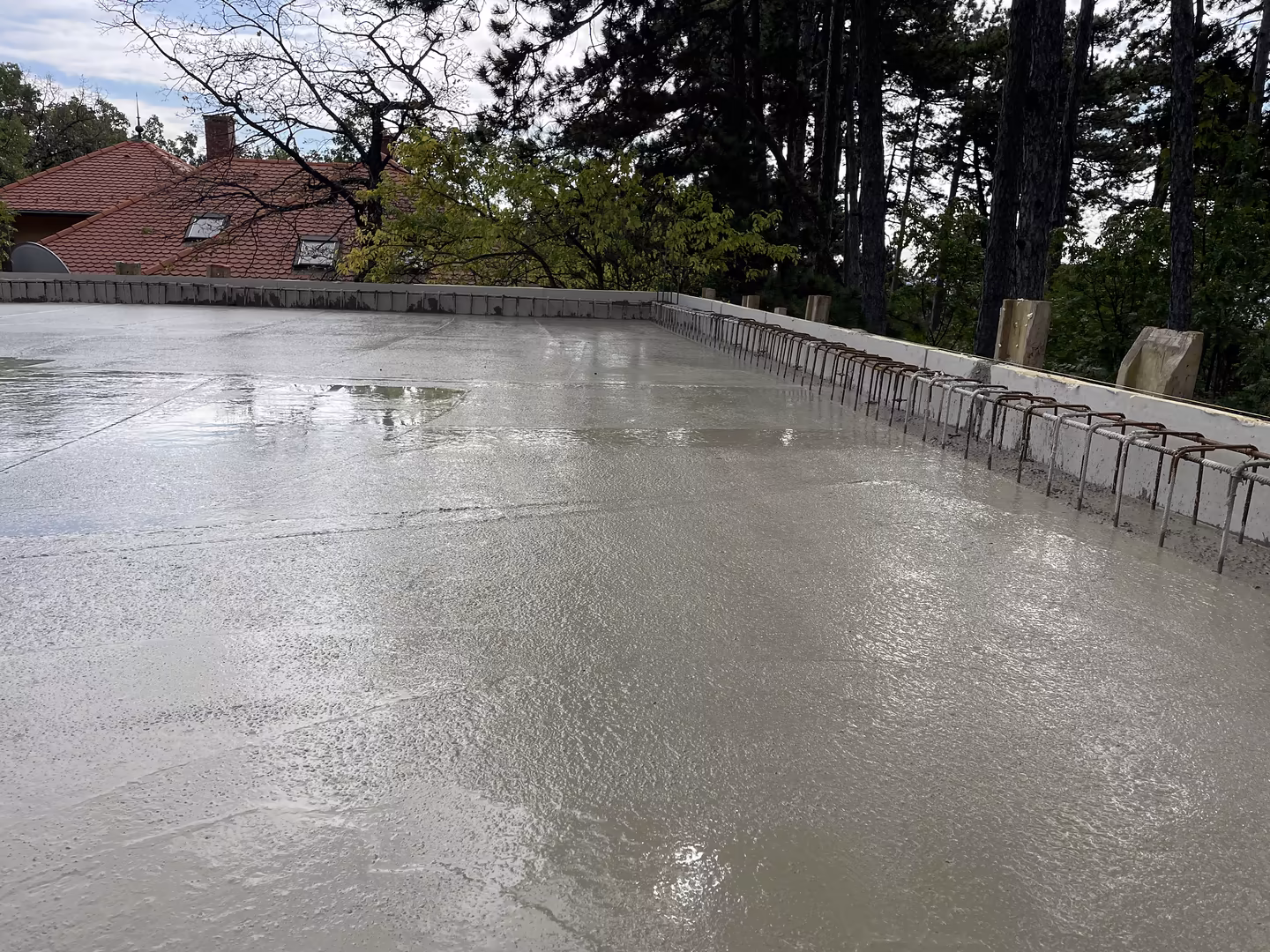 Kg general fenyves sor 12